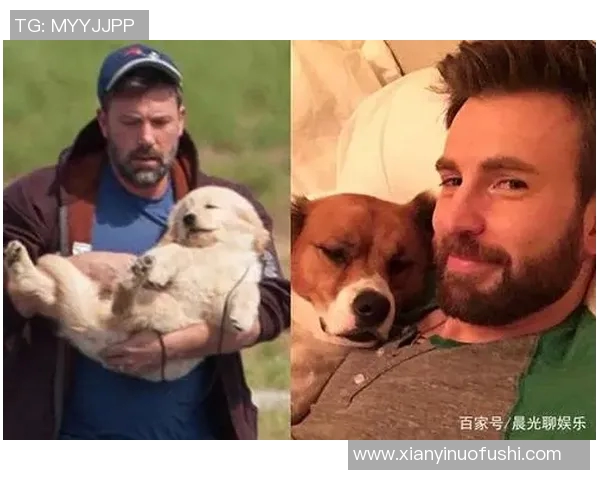足球明星与他们的爱犬生活揭秘：这些狗狗背后的故事与趣事